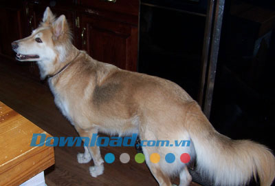 Aoao Watermark