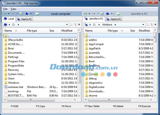 Remote Utilities