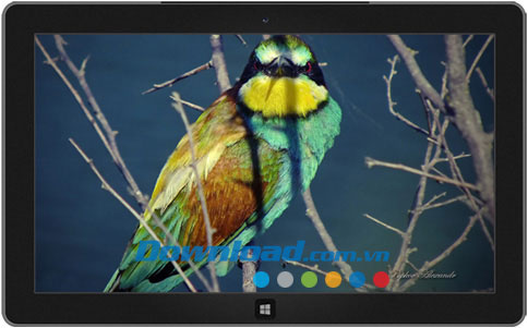 Colors of Nature theme