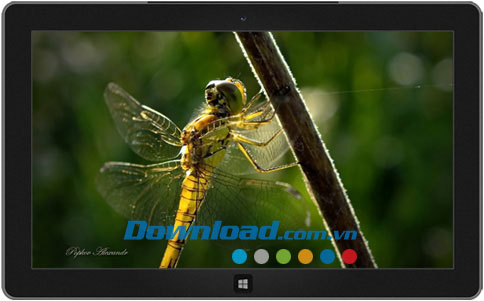Colors of Nature theme