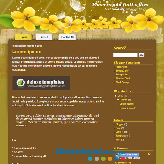 Flowers and Butterflies