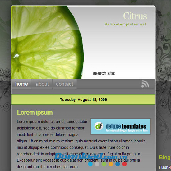 Giao diện mẫu Citrus