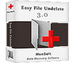 Easy File Undelete