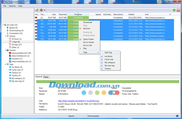 Tiny Downloader