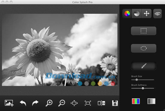 Color Splash Pro
