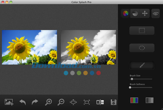Color Splash Pro