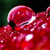 Waterdrops theme