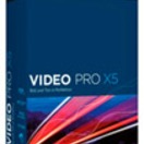 🖼️