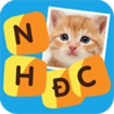 🖼️