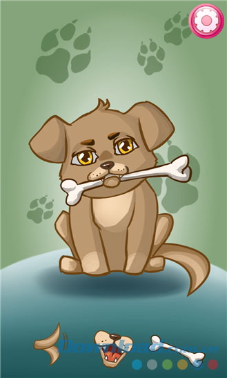 Talking Dog for Windows Phone