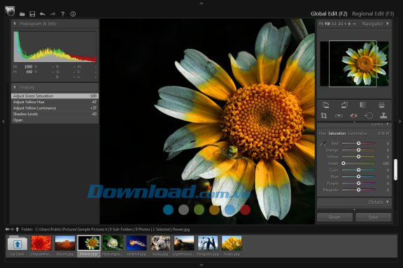 PT Photo Editor