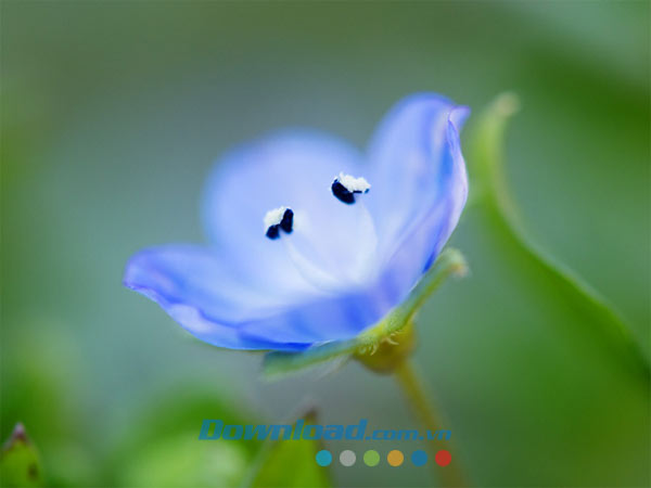 Sửa ảnh phong cảnh Exposure