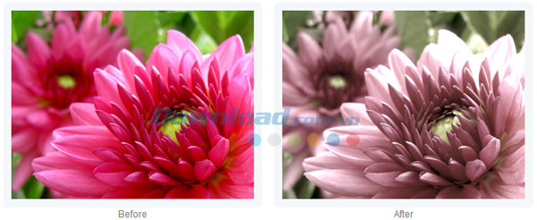Photo! Editor