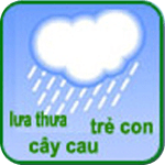 Mưa từ (Word Rain)