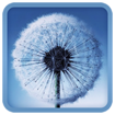 Galaxy S3 Live Wallpaper for Android