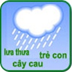 Mưa từ (Word Rain)
