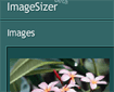 ImageSizer