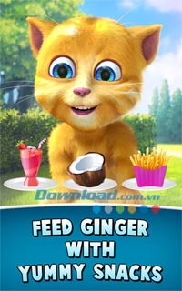Mèo Ginger dễ thương Talking Ginger 2 for Android