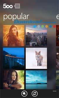 500px cho Windows Phone