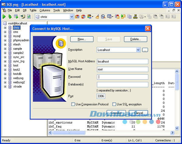 SQLyog (32 bit)