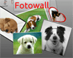 Fotowall