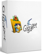 Gigaget