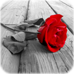Photo Art cho Android