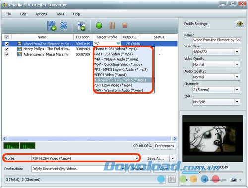 4Media FLV to MP4 Converter