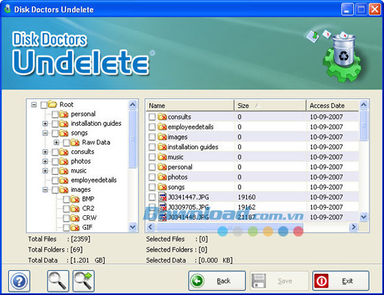 Disk Doctors Undelete