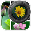 PicFrameCam cho iOS