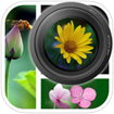 PicFrameCam cho iOS