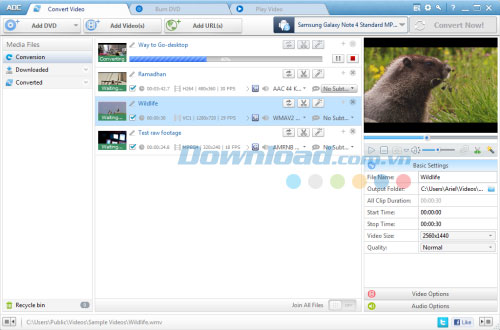 Any DVD Converter