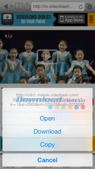 Video D/L cho iOS