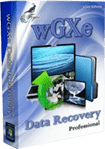 wGXe Data Recovery Professional