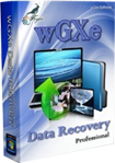 wGXe Data Recovery Professional