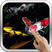 Magic Touch: Koi Fish cho Android