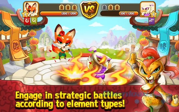 Kung Fu Pets