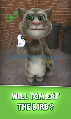 Talking Tom Cat