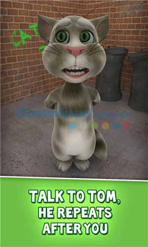 Mèo Tom biết lặp lại những gì bạn nói Talking Tom Cat