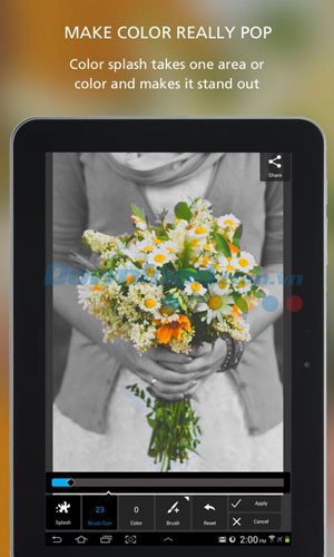 Autodesk Pixlr