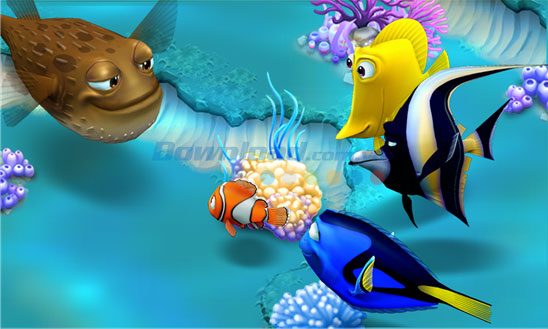 Nemo's Reef