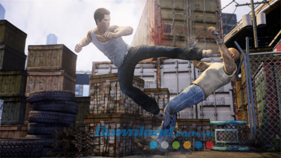 Sleeping Dogs