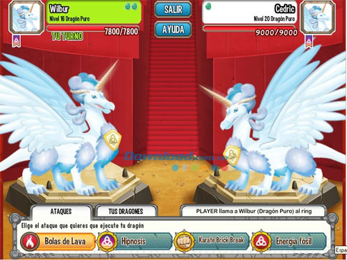 game Dragon City
