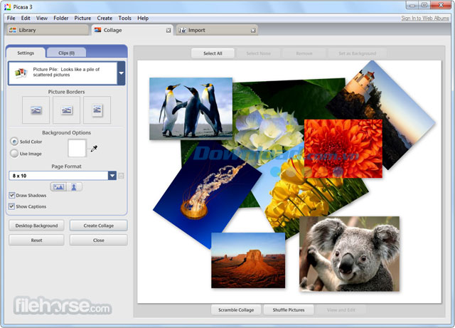 Picasa