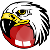 BlackHawk Web Browser
