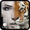 InstaFace cho Android