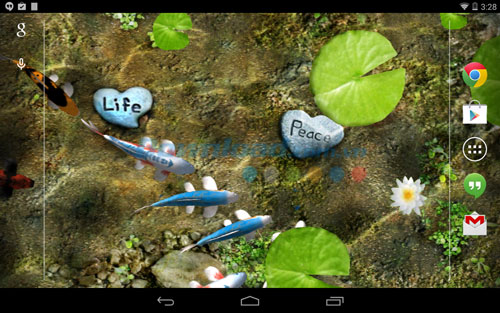 Koi Free Live Wallpaper 