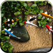 Koi Free Live Wallpaper cho Android