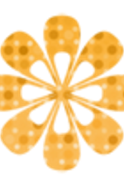 🖼️