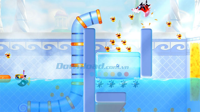 Shark Dash